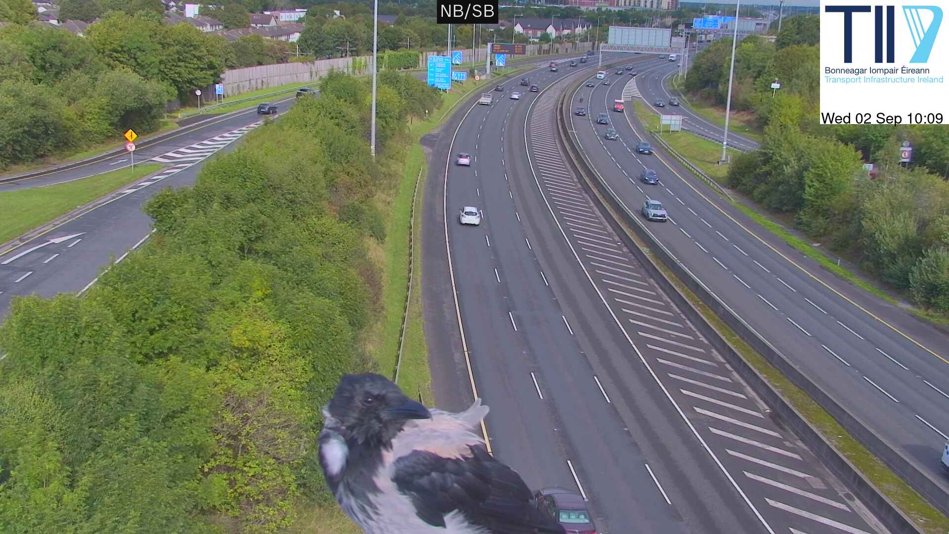 cctv-32-1788347747.jpg
