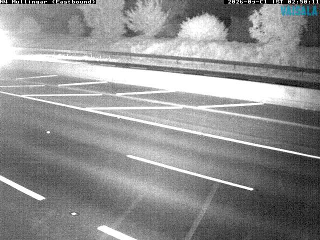 11431_cam1-1788236125.jpg