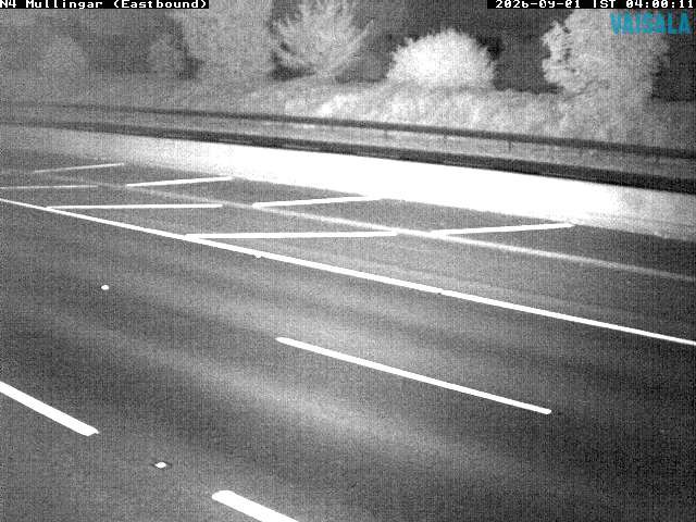 11431_cam1-1788239723.jpg