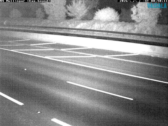 11431_cam1-1788314977.jpg