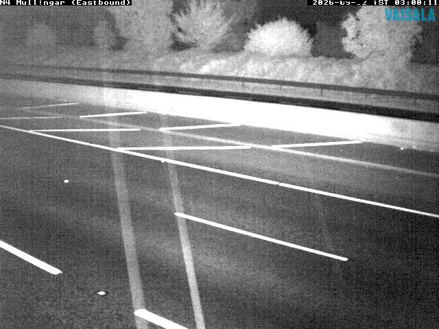 11431_cam1-1788322524.jpg
