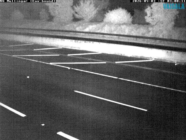 11431_cam1-1788408932.jpg