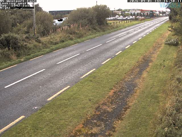 5466_cam1-1788286527.jpg