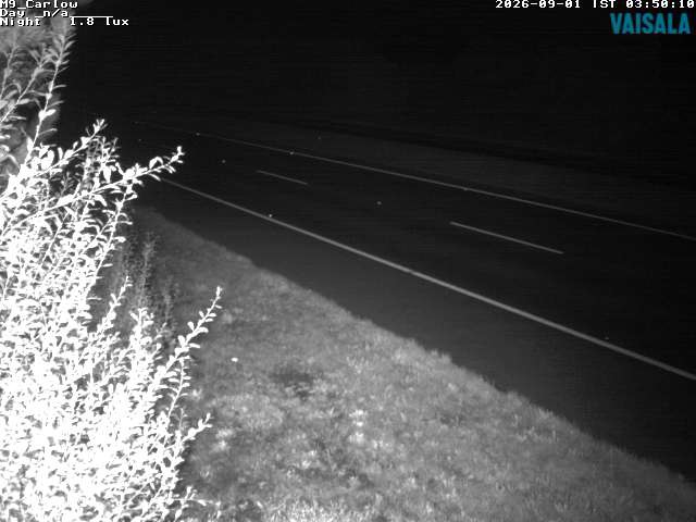 5490_cam1-1788239318.jpg
