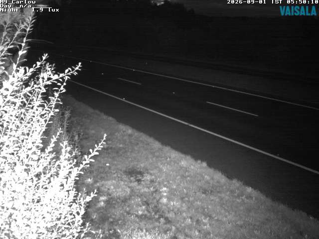 5490_cam1-1788246495.jpg
