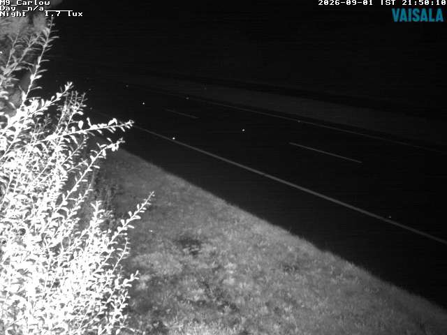 5490_cam1-1788304521.jpg