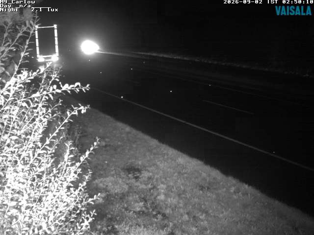 5490_cam1-1788322522.jpg