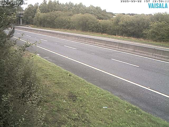 5490_cam1-1788358522.jpg