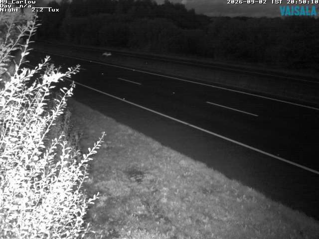 5490_cam1-1788387346.jpg