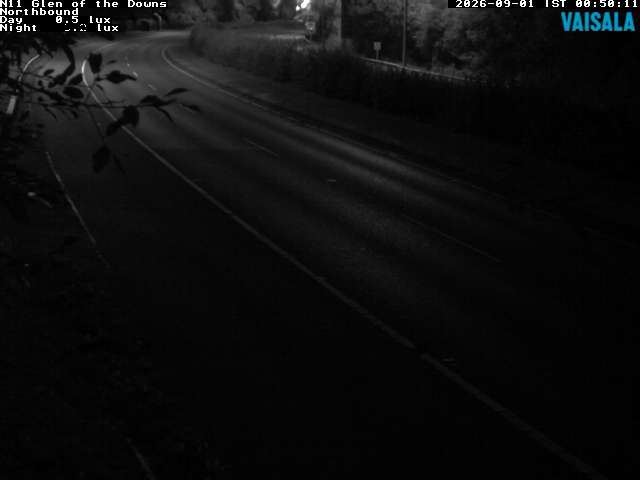 10810_cam1-1788228548.jpg