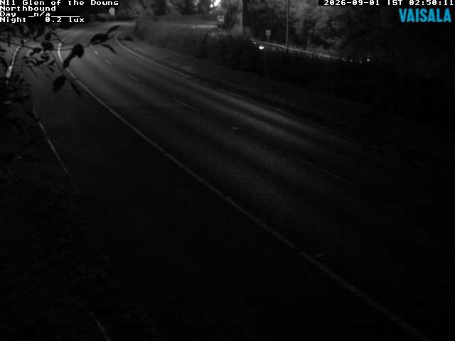 10810_cam1-1788235778.jpg