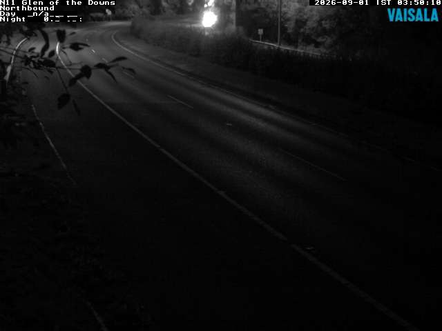 10810_cam1-1788239317.jpg