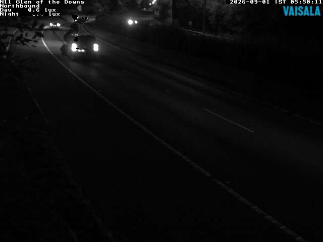 10810_cam1-1788246494.jpg
