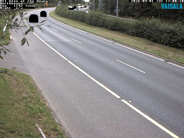 10810_cam1-1788286525.jpg