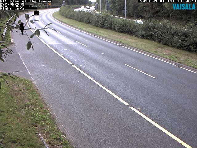 10810_cam1-1788293279.jpg