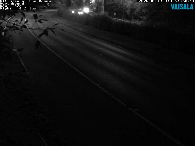 10810_cam1-1788304521.jpg