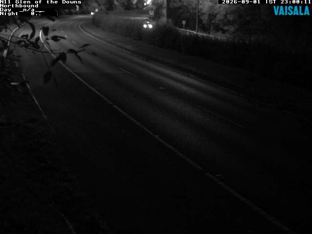 10810_cam1-1788308125.jpg