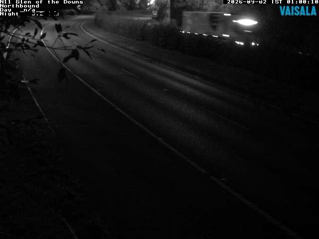 10810_cam1-1788315322.jpg