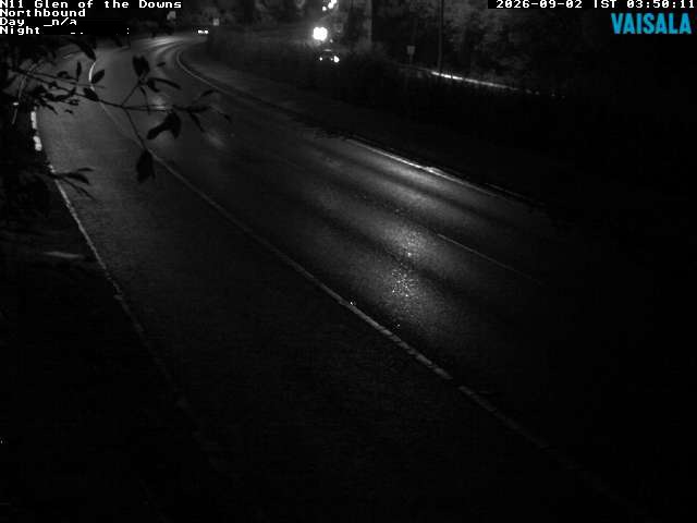 10810_cam1-1788325683.jpg