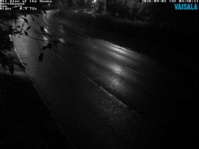10810_cam1-1788329726.jpg