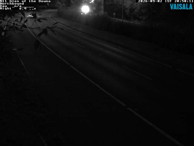 10810_cam1-1788386751.jpg