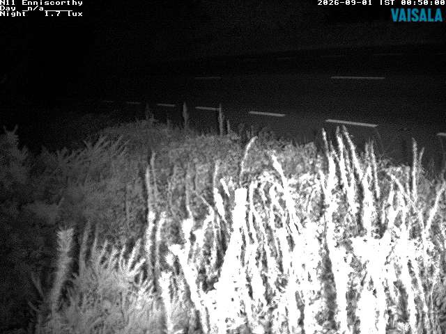 1737_cam1-1788228936.jpg