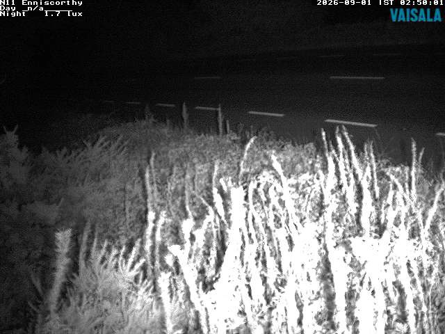 1737_cam1-1788235777.jpg