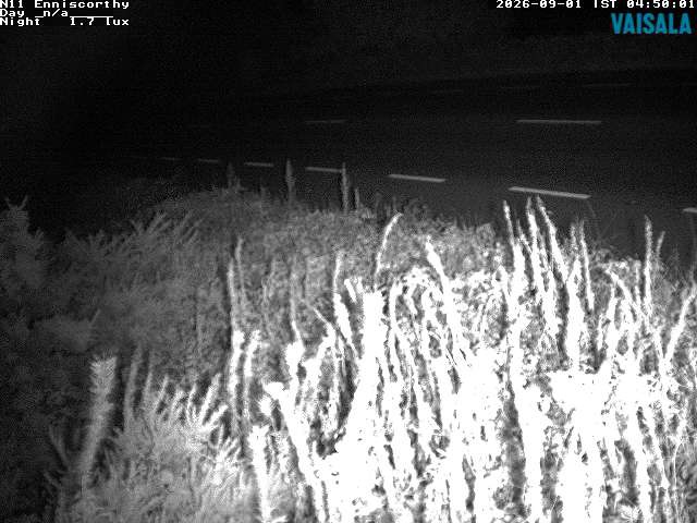 1737_cam1-1788243350.jpg