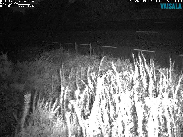 1737_cam1-1788246922.jpg