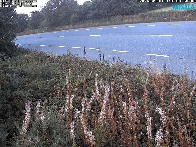 1737_cam1-1788250534.jpg