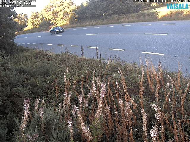 1737_cam1-1788254135.jpg