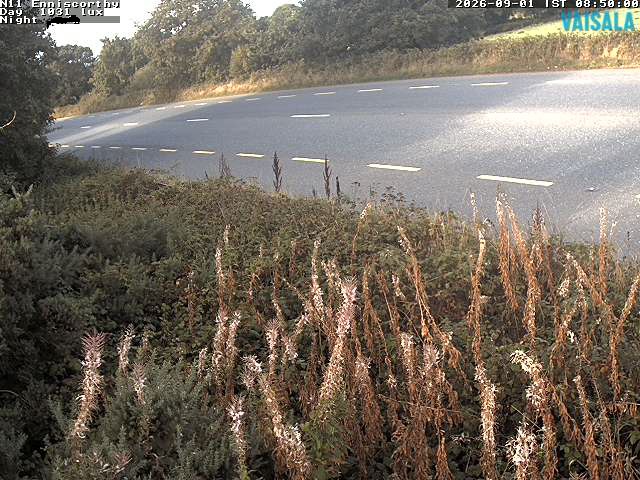 1737_cam1-1788257735.jpg