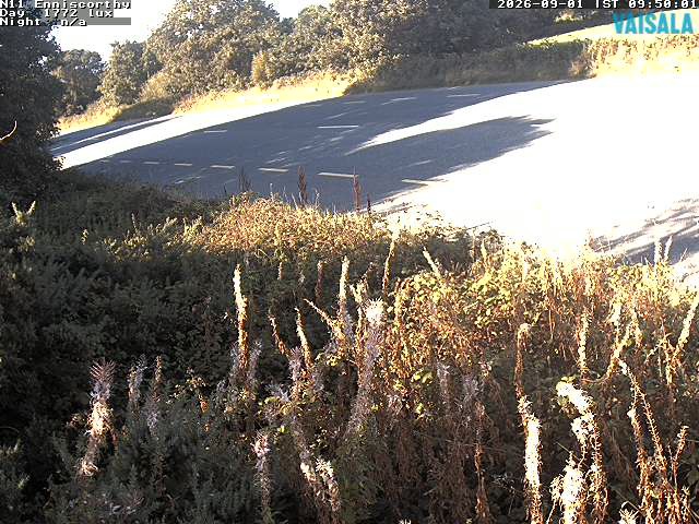 1737_cam1-1788261324.jpg