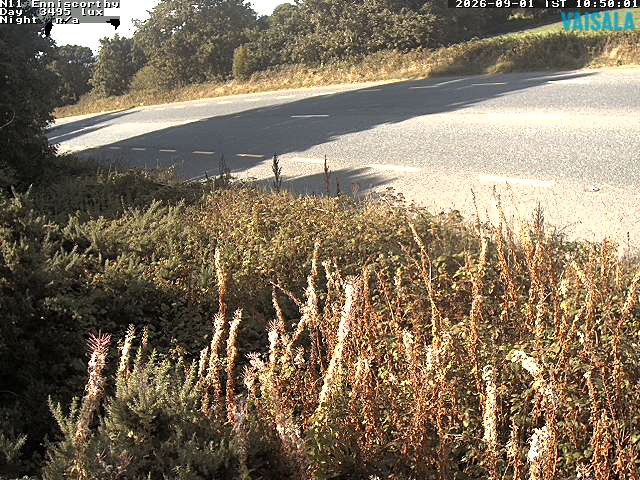 1737_cam1-1788264510.jpg