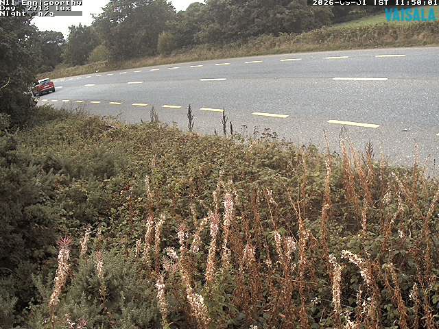 1737_cam1-1788268173.jpg