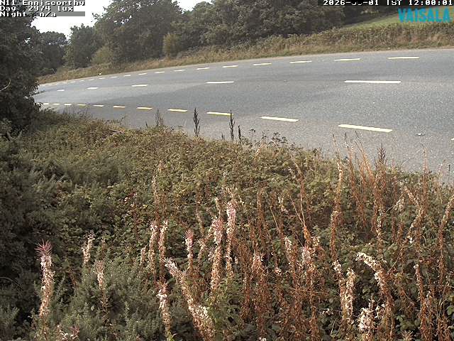 1737_cam1-1788268537.jpg