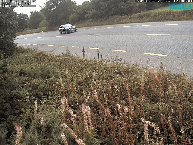 1737_cam1-1788271434.jpg
