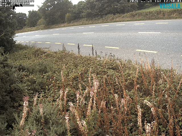 1737_cam1-1788272122.jpg