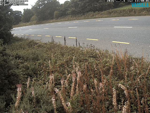 1737_cam1-1788275145.jpg