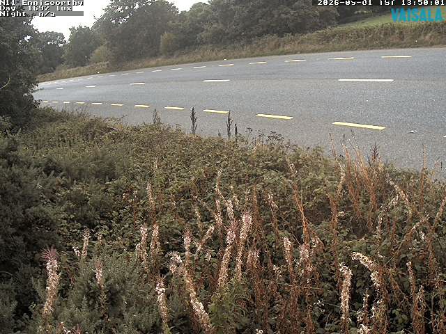 1737_cam1-1788275728.jpg