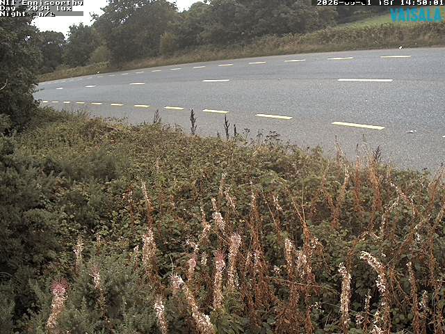 1737_cam1-1788279330.jpg