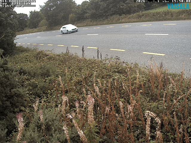 1737_cam1-1788282460.jpg