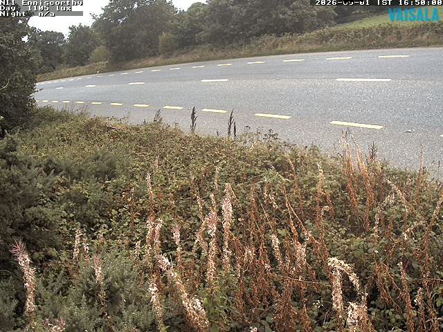 1737_cam1-1788286525.jpg