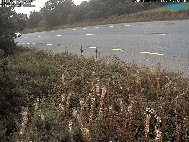 1737_cam1-1788289569.jpg
