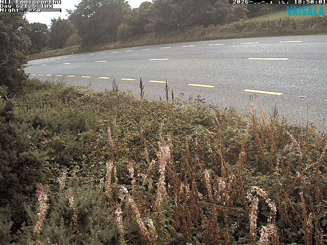 1737_cam1-1788293719.jpg