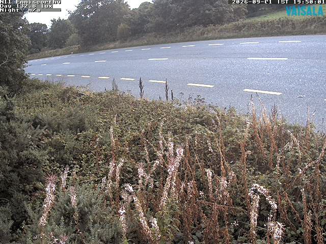 1737_cam1-1788296836.jpg