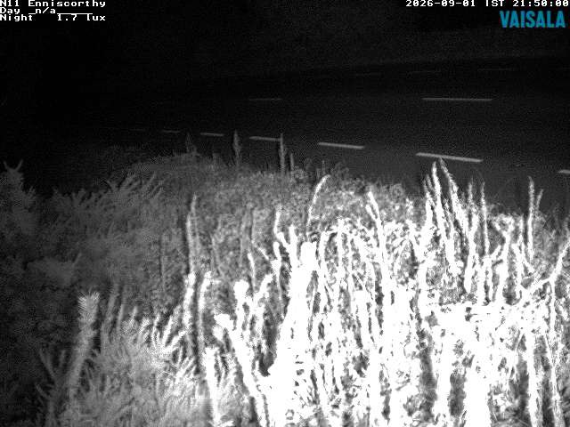 1737_cam1-1788304091.jpg