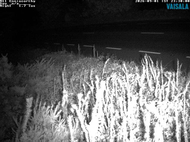 1737_cam1-1788311144.jpg