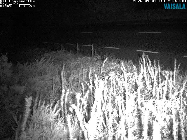 1737_cam1-1788311723.jpg