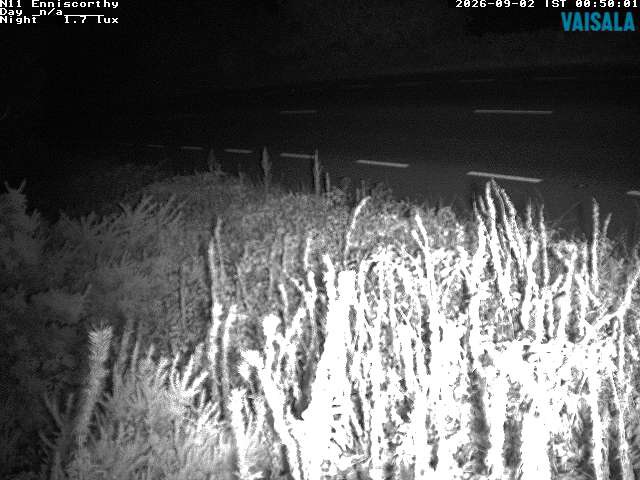 1737_cam1-1788315322.jpg